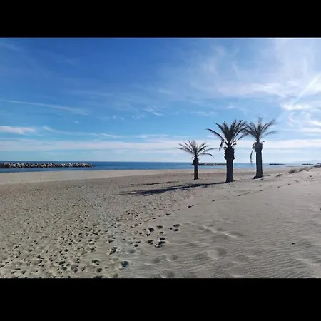 Appartement Beau Face à L Eau Le Barcarès