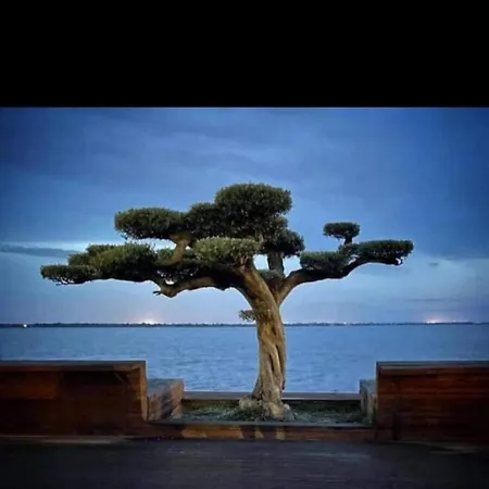 Beau Face à L Eau Le Barcarès