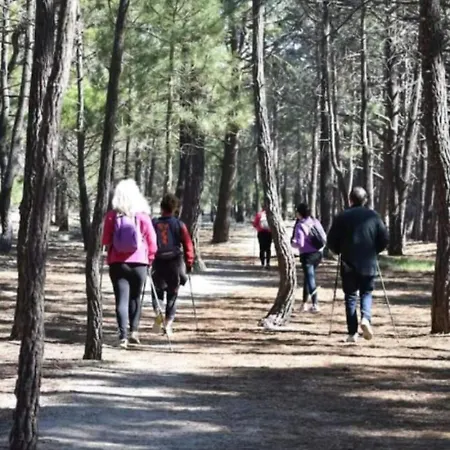 Beau Face à L Eau Le Barcarès